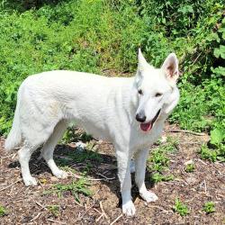 Mali of White Eagle